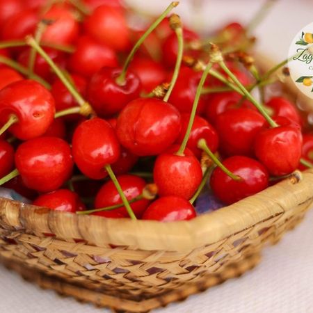 Zagare E Limoni Leilighet Ostuni Eksteriør bilde