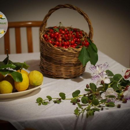 Zagare E Limoni Leilighet Ostuni Eksteriør bilde